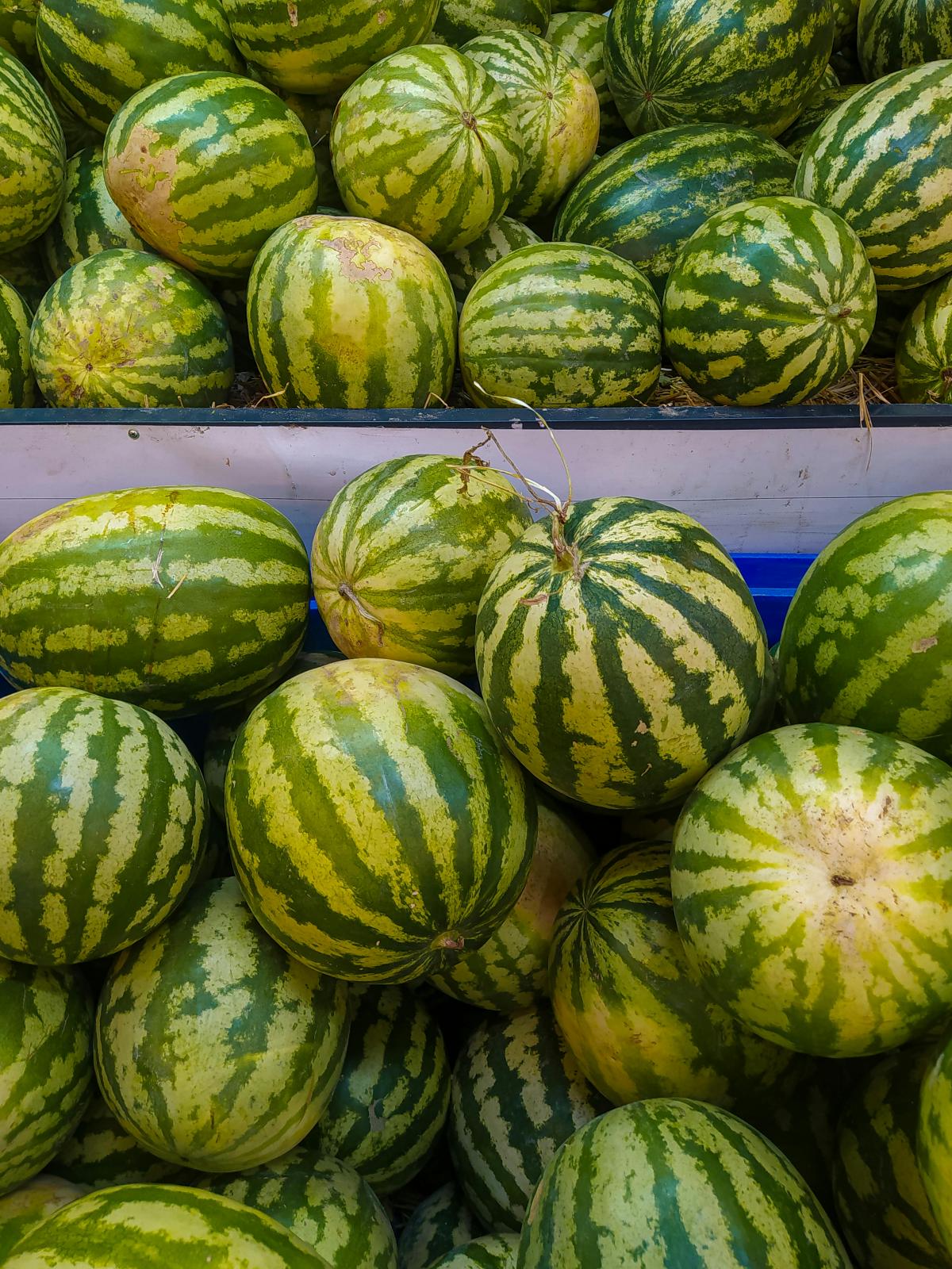 hur man väljer en vattenmelon