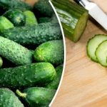 Gurkor blir inte mjuka även i en sallad: en sak